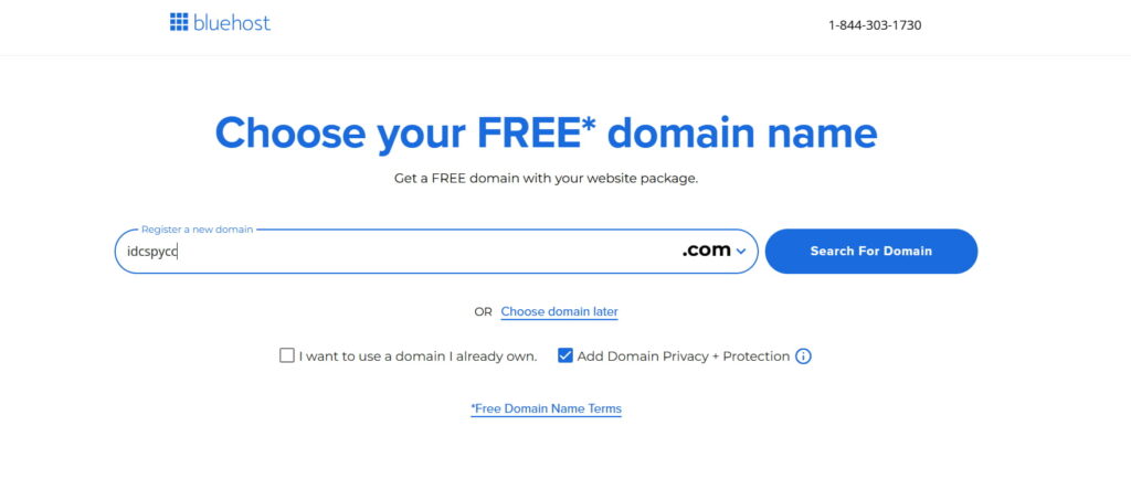 BlueHost填写域名