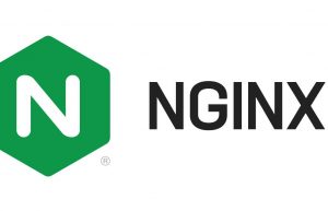 Linux启动Nginx命令汇总