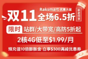 raksmart双11促销