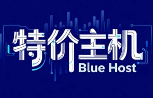 特价主机