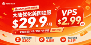 RakSmart